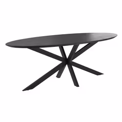 Table ovale 10 personnes en bois de teck recyclé noir 240 cm - Sparo