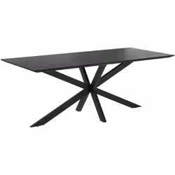 Table rectangulaire 10 personnes en bois de teck recyclé noir 240 cm - Marvel