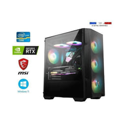 PC Gamer intel I9-12900KF - RTX 4060 8GO MSI VENTUS 2X - 32GO RAM - SSD 1To + HDD 2To - MSI Mag M100R - Windows 11