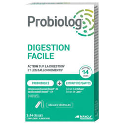 Mayoly Spindler Probiolog Digestion Facile 28 Gélules