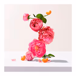 Lait corporel Rose 250 ml