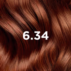 Phytocolor #6.34 Blond Cuivré Foncé