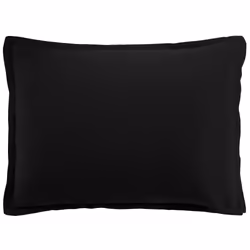 Planete Discount PD16098, Noir, Coton, Lavage en machine, 40 °C, HDR, 50 x 70 cm