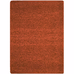 SHAGGY - Tapis Uni - Terra Tout doux et moelleux! Les tapis Shaggy ont un effet laineux qui apporte du charme à votre décorat ...