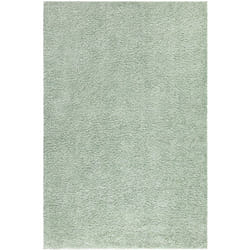 Tapis à Poils Longs doux softy, Tapis de Salon, Chambre, Couloir (Vert Amande - 200x290cm)