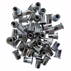 Sachet de 50 inserts filetés à sertir de Ø 10 mm en acier galvanisé. Pour sertissage sur support de 1 à 4 mm.