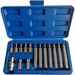 Coffret de 14 embouts de vissage 6 pans courts et longs de T20 à T55 mm à emmanchement 6 pans 3/8" (soit 10mm de côté). Coffr ...