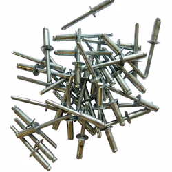 Lot de 250 rivets standards tout acier de 6 X 18 conçu pour serrer jusqu'à 12 mm d'épaisseur.