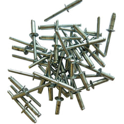 Sans Marque - Sachet de 250 rivets acier standards de 6 x 18