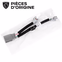 Connectique Faisceau de Câblage Injecteur de Peugeot Citroën Fiat 2.0 Hdi 658557