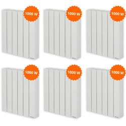 Thermor - Pack 6 radiateurs électriques 1000 w Baléares 2
