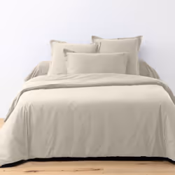 Planete Discount PD16749, Taie d'oreiller incluse