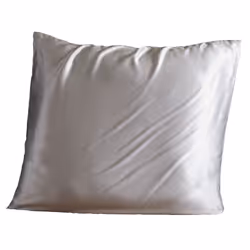 Taie d'oreiller 63x63 cm Soie de mûrier Silver