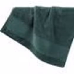 Drap de bain 90x150 cm Coton Emeraude - 90 x 150 cm