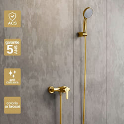 Imex Products - Mitigeur de Douche anti-calcaire Or Brossé imex roma BDR001-5OC