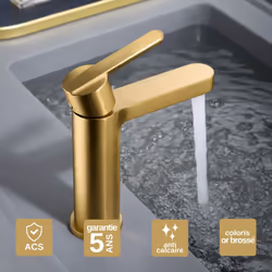 Informations sur le produit Apportez une touche d'élégance à votre salle de bains avec le Robinet Mitigeur de Lavabo anti-cal ...