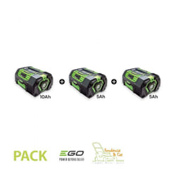 Pack 20AH de batteries Ego Power 56V PACK-20AH