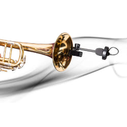 Prodipe SB21 Lanen