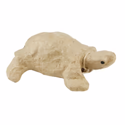 Clairefontaine Tortue, 5 an(s), Papier