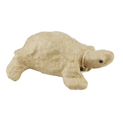 Clairefontaine Tortue