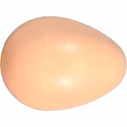 œuf de poule en plastique pour volaille Faux oeuf de poule pour stimuler la couvaison et la ponte. dimension : 4.4 cm x haute ...