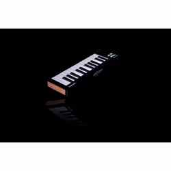 Arturia MicroLab mk3 clavier MIDI 25 touche(s) USB Noir, Blanc - Vue supplémentaire 3