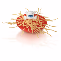 MEGABLEU Yéti Dans Mes Spaghettis