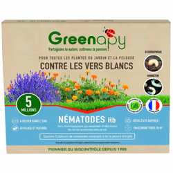 Les vers blancs, notamment les larves d'otiorhynques et de hannetons, sont des ravageurs redoutés qui compromettent la santé ...