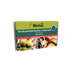 Qu'est ce qu'une phéromone ? Les phéromones en lutte biologique sont des substances chimiques utilisées pour contrôler les po ...