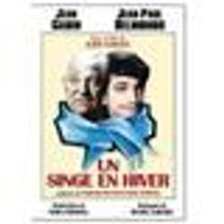 DVD Un Singe en hiver