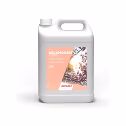 Crème nettoyante AEXALT AEXAMOUSSE PARIS - Bidon de 5 L - SA609 - Sans solvant, sans abrasif – Salissures moyennes N’agresse  ...