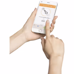 Wistiki WISVOILAPINWEB tracker d’activité pour animaux de compagnie