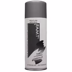 AMT Aérosol Effet métallisé Gris est une peinture acrylique de qualité professionnelle qui s'applique sur de nombreux support ...