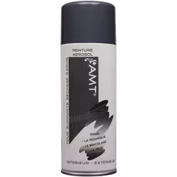 Peinture aérosol ardoise