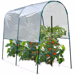 Vous rêvez de belles tomates, plus grosses, plus goutteuses, qui poussent plus vite et plus longtemps...?Ne cherchez plus, no ...