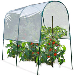 Serre à tomates 2 M