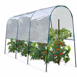 Vous rêvez de belles tomates, plus grosses, plus goûteuses, qui poussent plus vite et plus longtemps...?Ne cherchez plus, nou ...