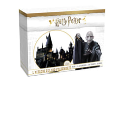 Topi Games HARRY POTTER, LE MAITRE DES SORTS