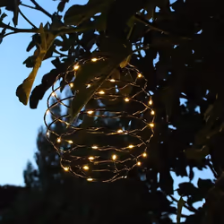 Lumisky Orion