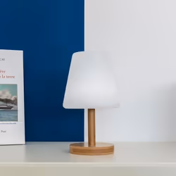 Lumisky Standy Mini Wood lampe de table LED