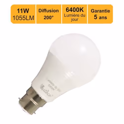 Ampoule LED B22 11W 1055Lm 6400K - garantie 5 ans
