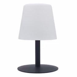 Lumisky Standy Mini Rock, IP44, LED, 250 mm, 1 pièce(s)