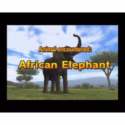 OG International Safar'Wii (Nintendo Wii)