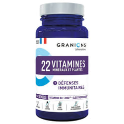 Granions 22 Vitamines Minéraux et Plantes 90 Comprimés