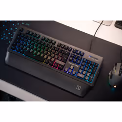 The G-Lab Keyz Palladium clavier USB AZERTY Français Noir