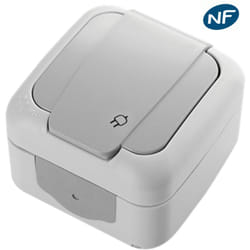 Prise 2P+T étanche IP54 - Viko by Panasonic - Gris - NF