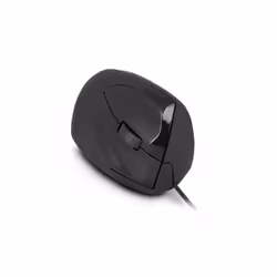 Urban Factory Ergo souris Droitier USB Type-A Optique 2400 DPI