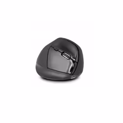 Urban Factory Ergo PRO, Droitier, Conception verticale, Optique, RF sans fil, 2400 DPI, Noir