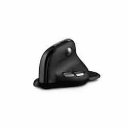 Urban Factory ERGO Max
