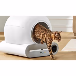 EZIclean CATBOT K8i Chat Robot litter box Blanc